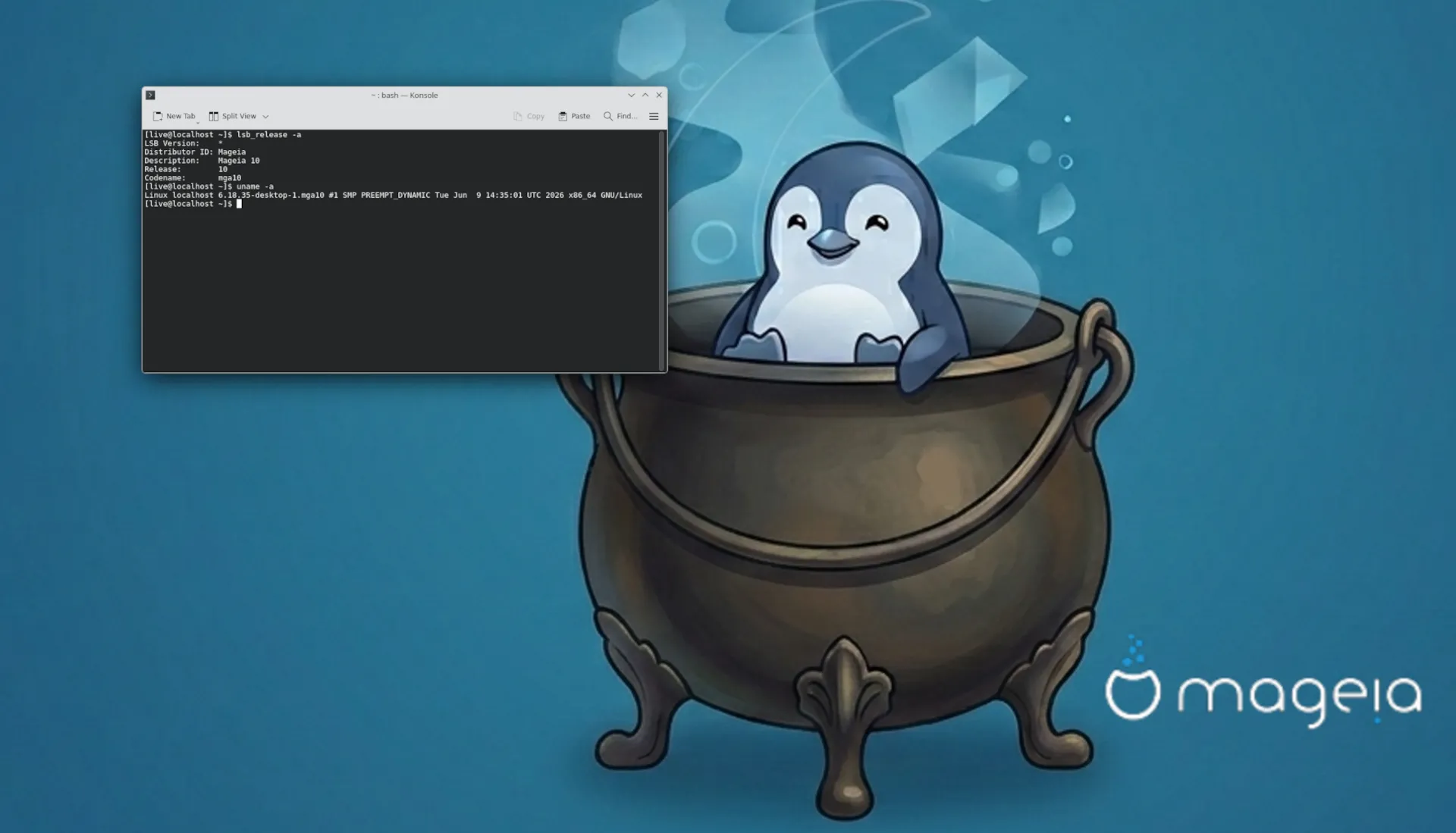 Mageia 10