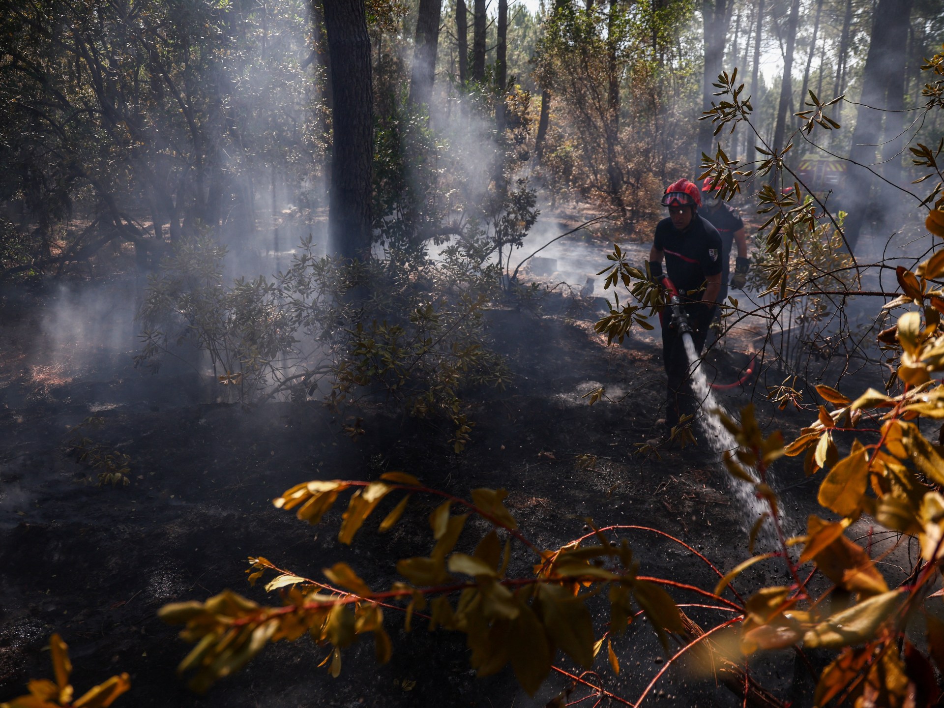 Wildfires and heatwave in France and Spain