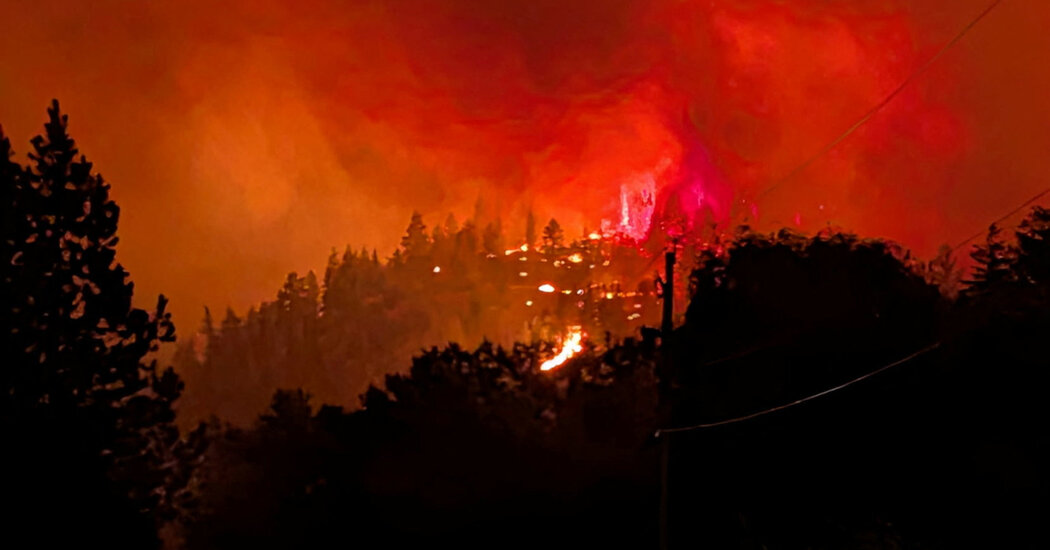 World News Roundup — August 9, 2026 (AM)