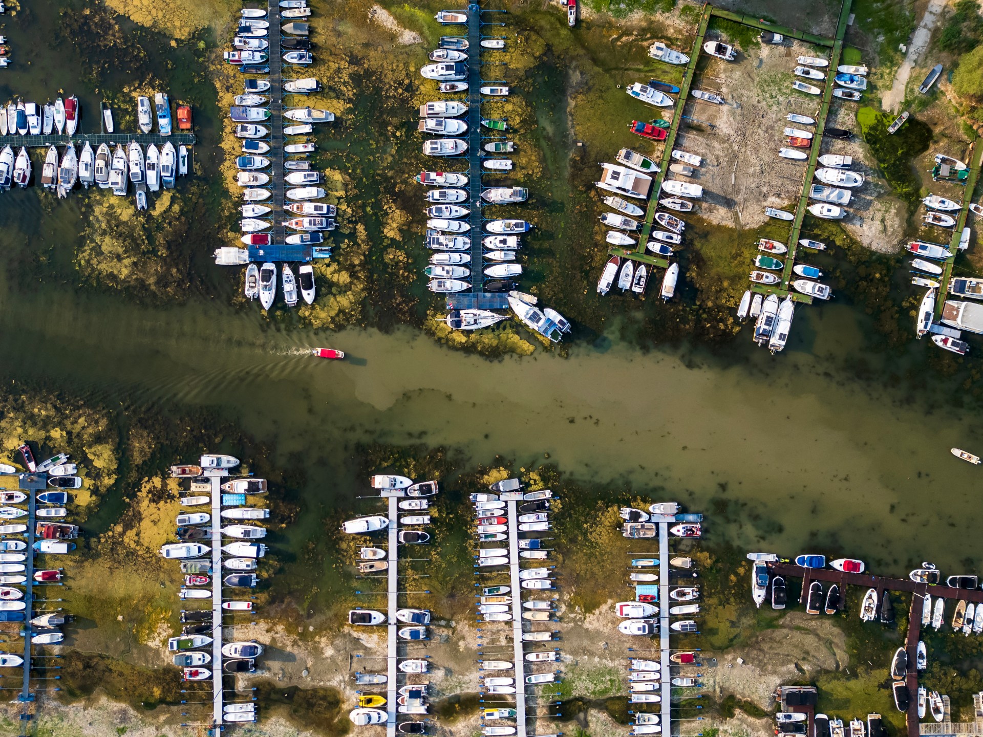 Satellite image showing low water levels in European rivers