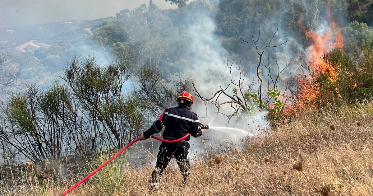 Algeria wildfire