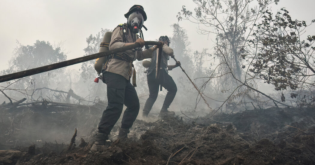 UN climate 1.5 degree overshoot
