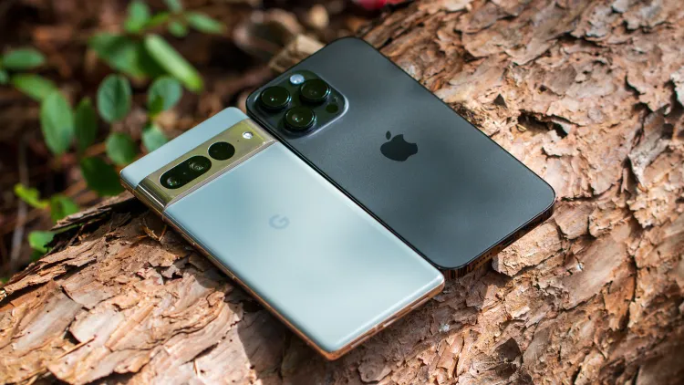 Google Pixel phones enable cross-platform file sharing