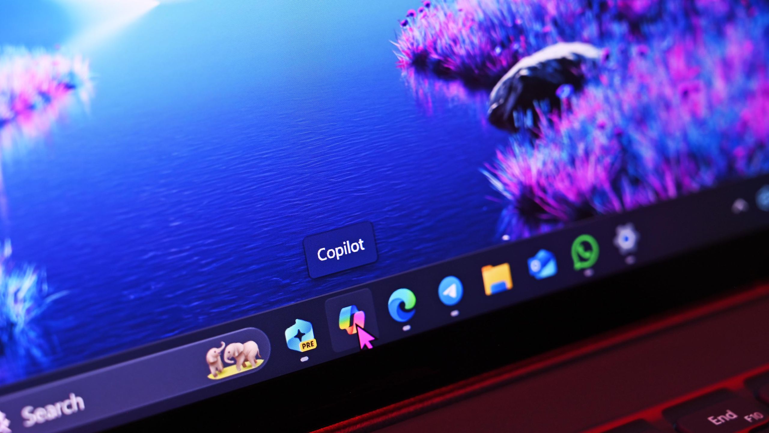 Windows 11 interface