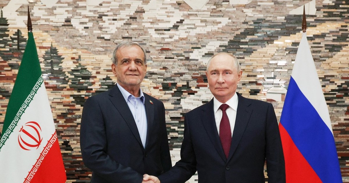 Putin at BRICS summit in India