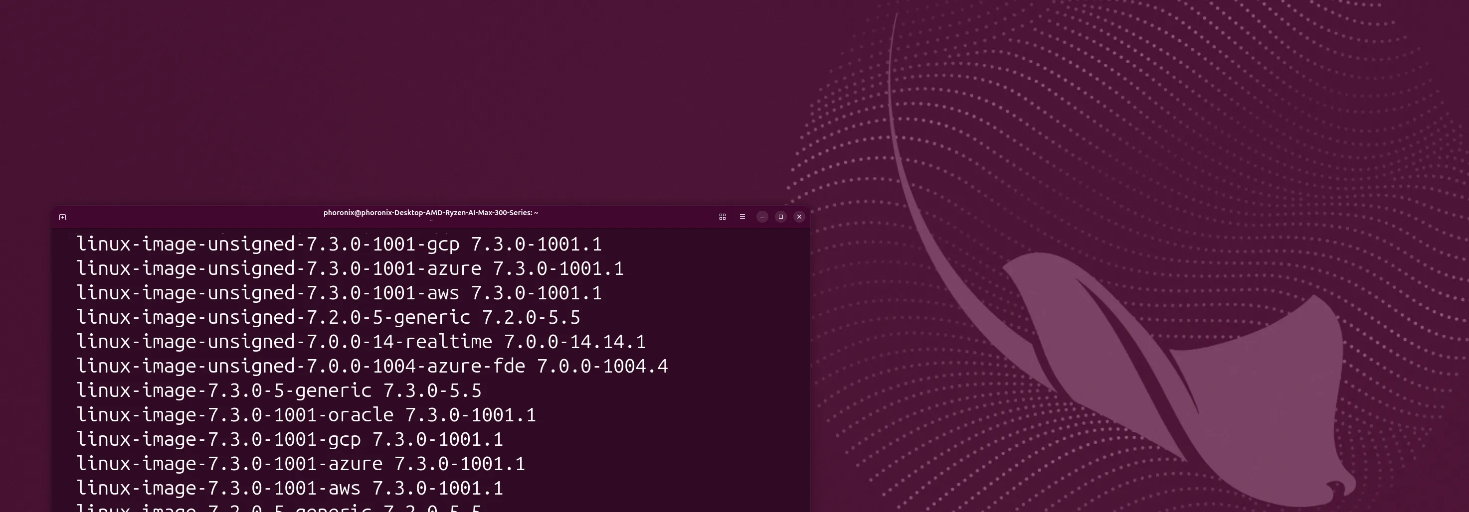 Ubuntu 26.10 and Linux kernel branding