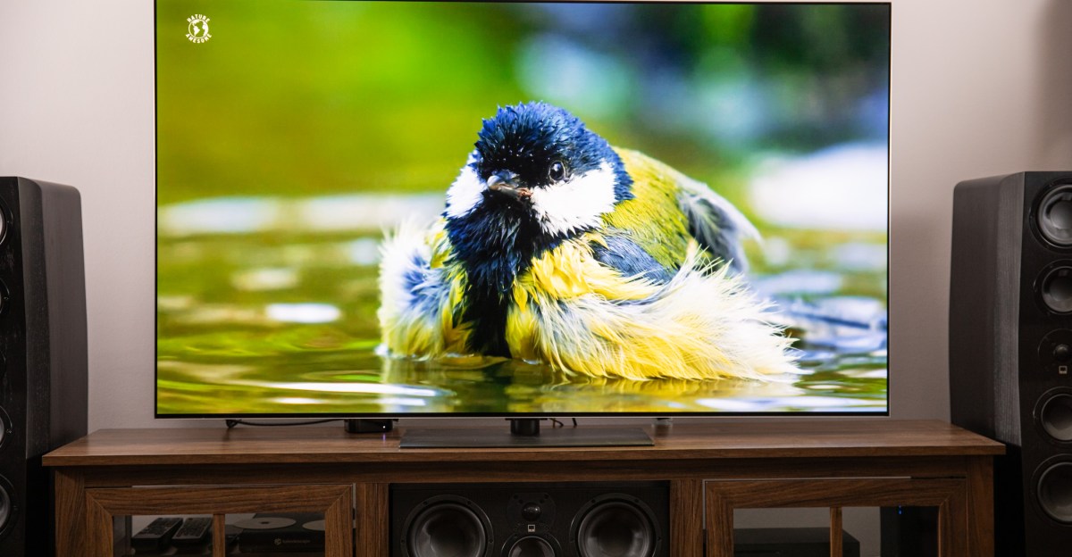 Modern OLED TV display