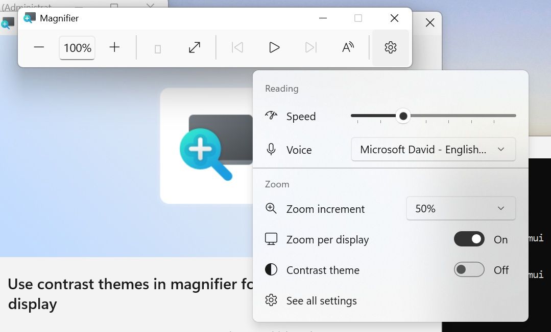 Windows 11 display settings interface