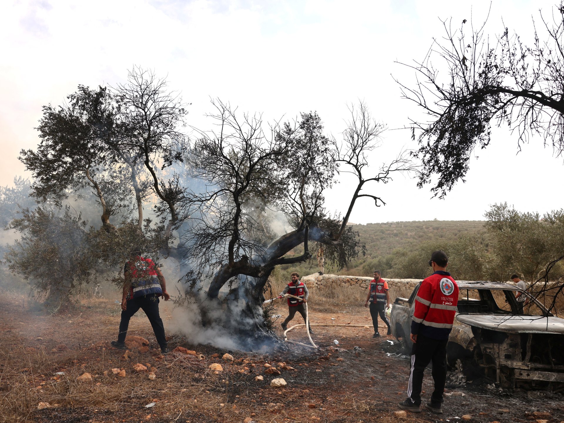 Palestinian olive groves damaged by Israeli settlers