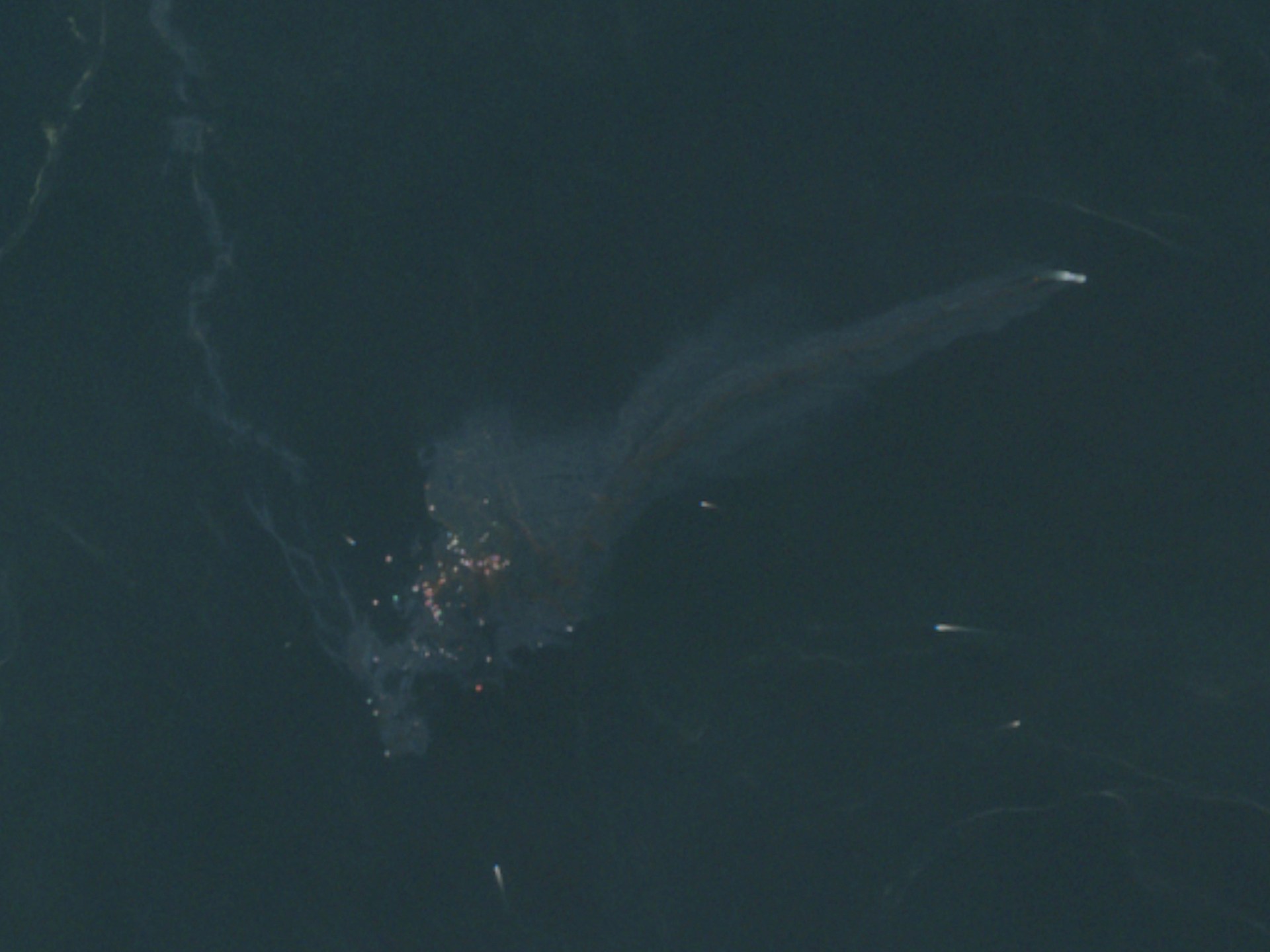 Strait of Hormuz tanker incident