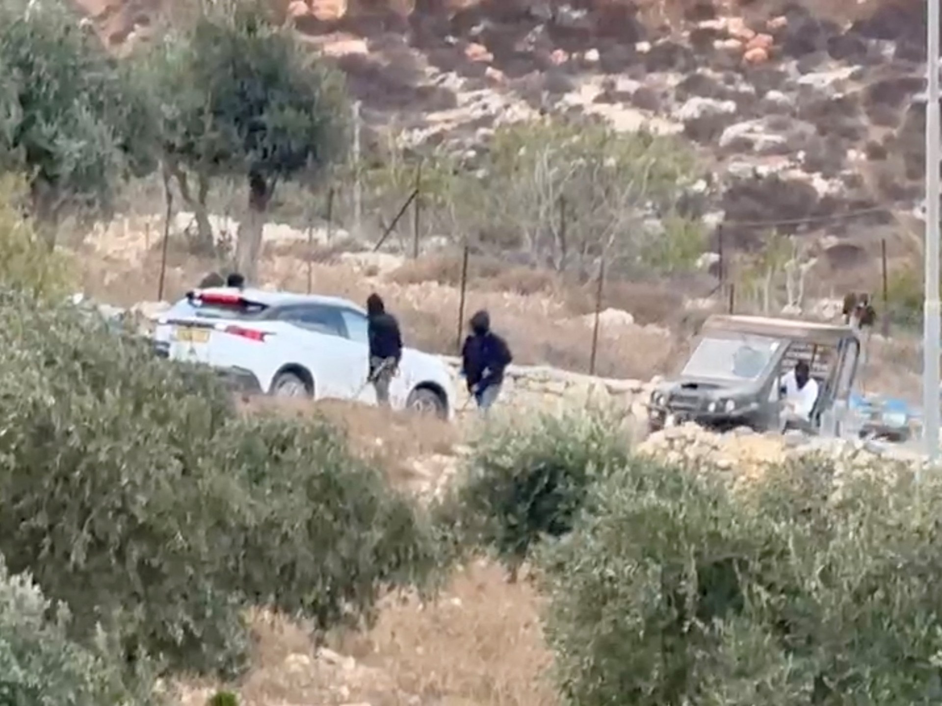 West Bank olive harvest and settler tensions